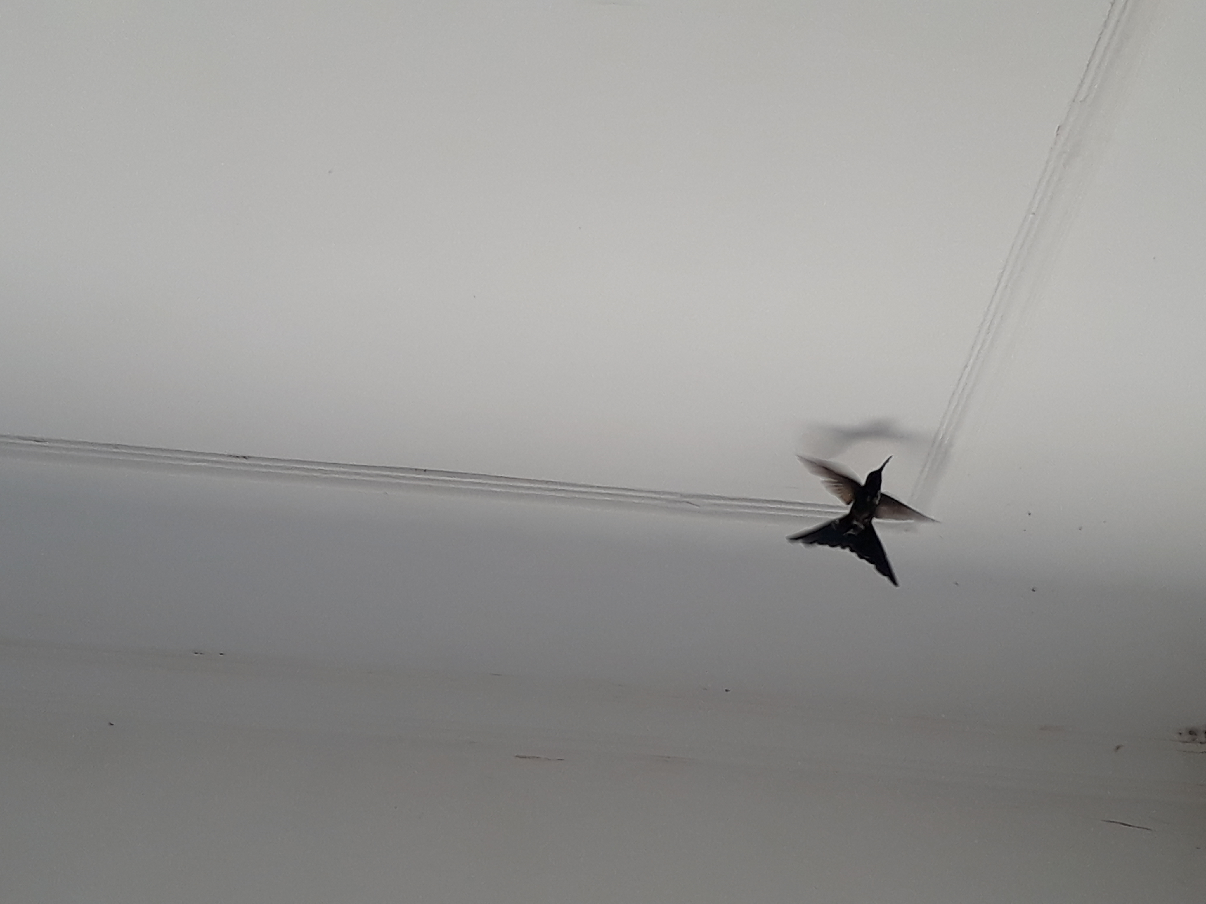 20171128_090024.jpg